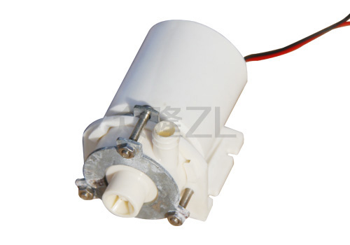 Healthcare brushless pump